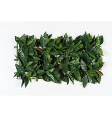 EDG PHOTINIA Фотиния рулон 100х100х5h см, клипсы, 2,3 кг, цвет зеленый/красный