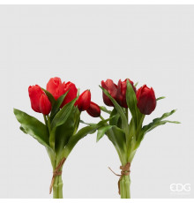 EDG OLIS Тюльпаны букет 5 шт, h28 см, 0,17 кг, цвет красный