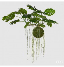 EDG MONSTERA Монстера калакольчатая, подвесная, H80 L140, цвет зеленый