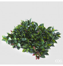 EDG PHOTINIA Фотиния рулон 100х100х5h см, клипсы, 2,3 кг, цвет зеленый/красный